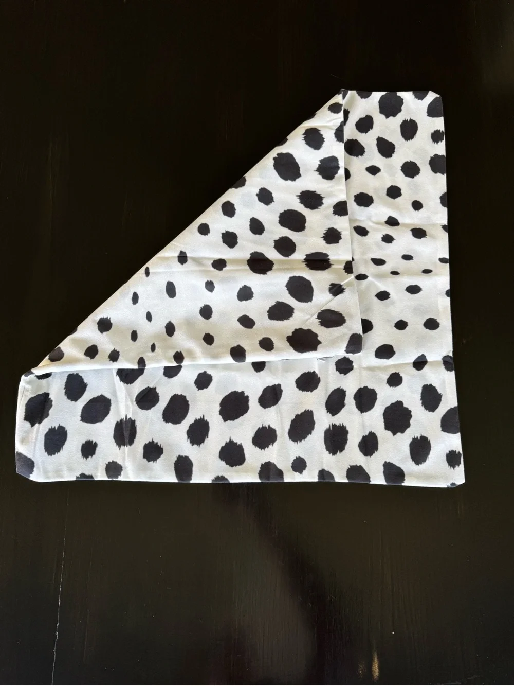 Black & White Euro Sham